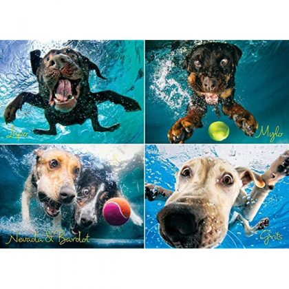 Willow Creek Press – 1000 Piece Puzzles for Adults – Underwater Dogs Jigsaw Puzzles Series -Splash
